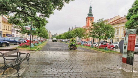 IMG_4529